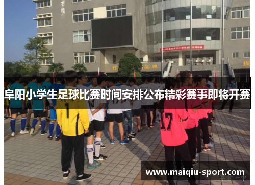 阜阳小学生足球比赛时间安排公布精彩赛事即将开赛