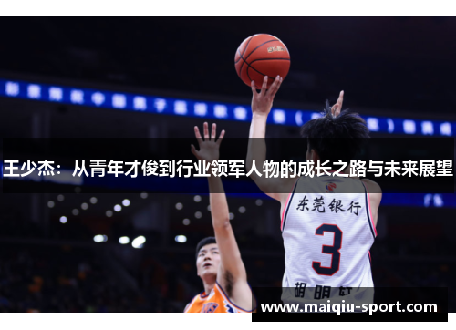 王少杰：从青年才俊到行业领军人物的成长之路与未来展望