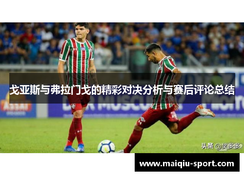 戈亚斯与弗拉门戈的精彩对决分析与赛后评论总结